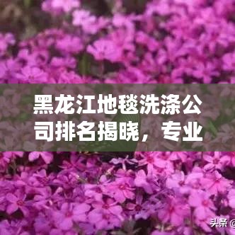 2025年5月27日 第43页
