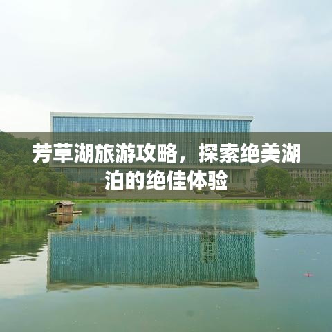 芳草湖旅游攻略，探索绝美湖泊的绝佳体验