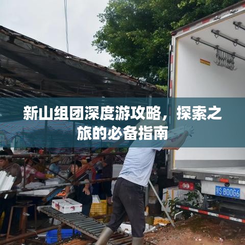 新山组团深度游攻略，探索之旅的必备指南