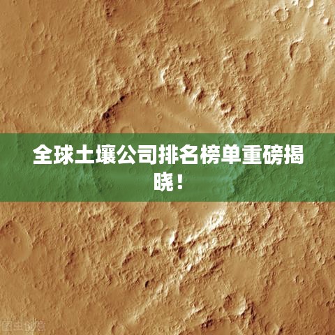 2025年5月27日 第31页
