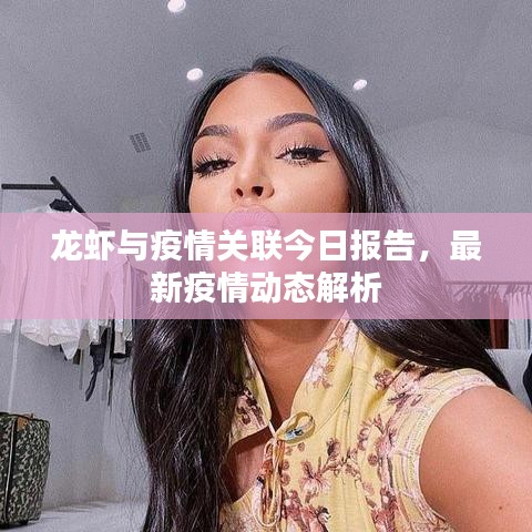 龙虾与疫情关联今日报告，最新疫情动态解析