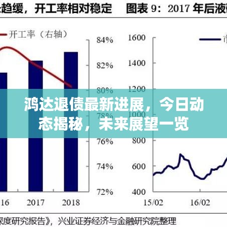 鸿达退债最新进展，今日动态揭秘，未来展望一览
