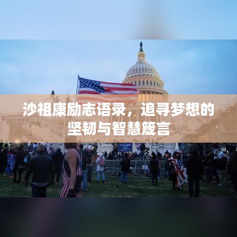 沙祖康励志语录，追寻梦想的坚韧与智慧箴言
