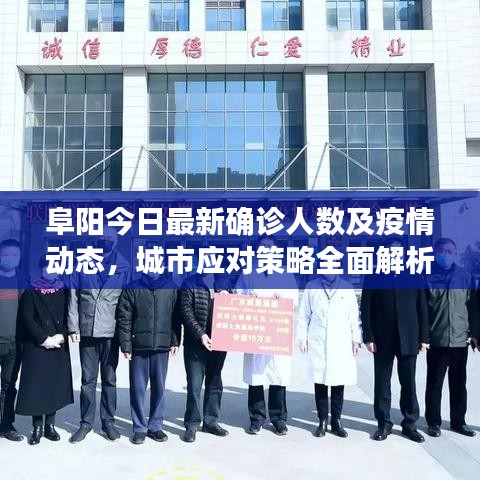 阜阳今日最新确诊人数及疫情动态，城市应对策略全面解析