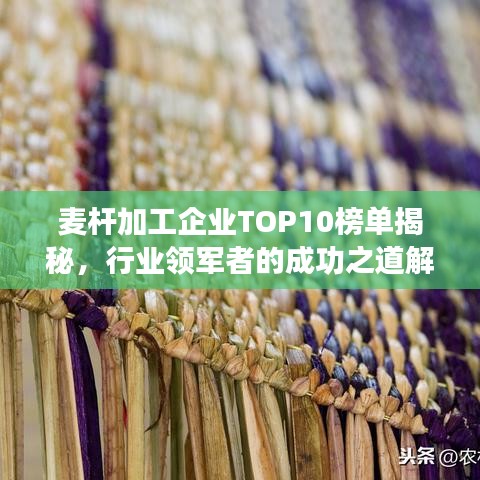 麦杆加工企业TOP10榜单揭秘，行业领军者的成功之道解析