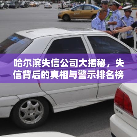 哈尔滨失信公司大揭秘，失信背后的真相与警示排名榜单出炉！