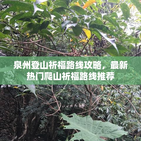 泉州登山祈福路线攻略，最新热门爬山祈福路线推荐