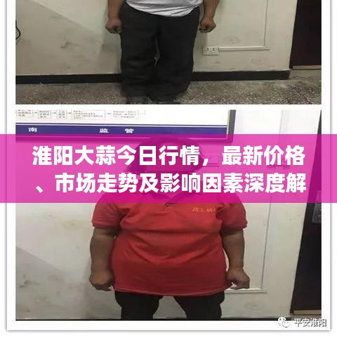 淮阳大蒜今日行情，最新价格、市场走势及影响因素深度解析