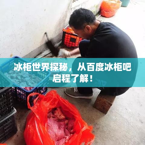 冰柜世界探秘，从百度冰柜吧启程了解！