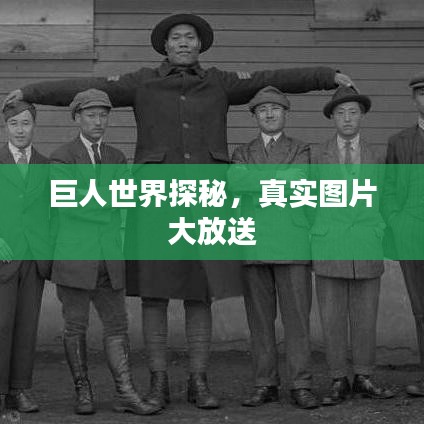 巨人世界探秘，真实图片大放送
