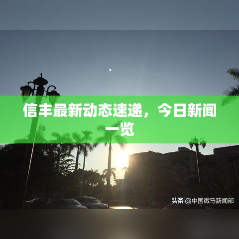 信丰最新动态速递，今日新闻一览