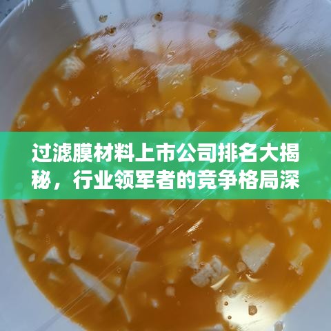 过滤膜材料上市公司排名大揭秘，行业领军者的竞争格局深度解析