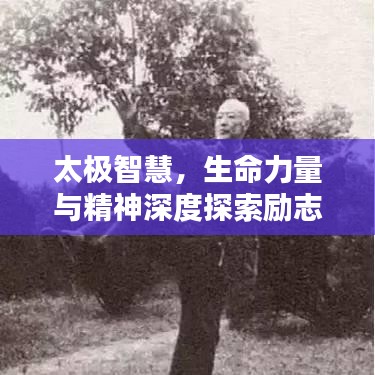 太极智慧，生命力量与精神深度探索励志语录