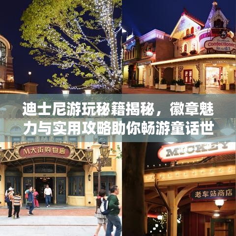 迪士尼游玩秘籍揭秘，徽章魅力与实用攻略助你畅游童话世界！
