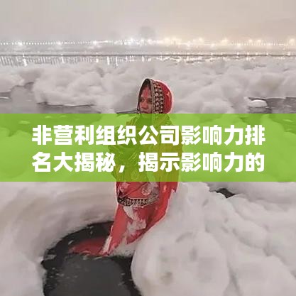 非营利组织公司影响力排名大揭秘，揭示影响力的力量榜单！