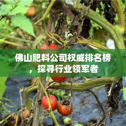 佛山肥料公司权威排名榜，探寻行业领军者