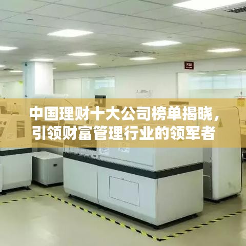 中国理财十大公司榜单揭晓，引领财富管理行业的领军者