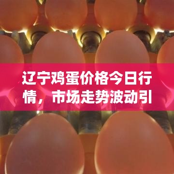 辽宁鸡蛋价格今日行情，市场走势波动引人关注
