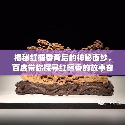 揭秘红檀香背后的神秘面纱，百度带你探寻红檀香的故事奇缘