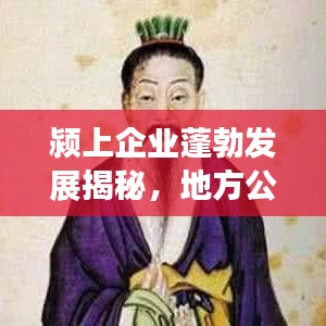颍上企业蓬勃发展揭秘，地方公司排名及成长之路探索