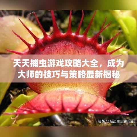 2025年5月28日 第35页