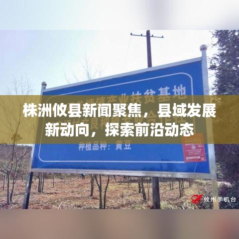 株洲攸县新闻聚焦，县域发展新动向，探索前沿动态