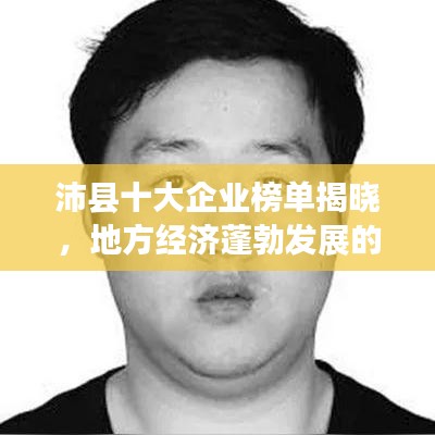 沛县十大企业榜单揭晓，地方经济蓬勃发展的强劲引擎