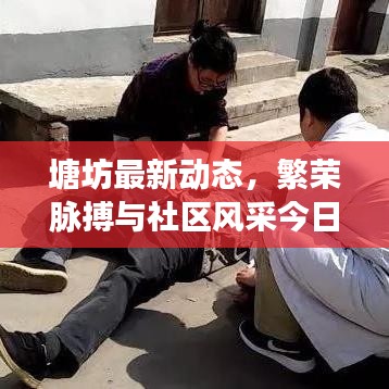塘坊最新动态，繁荣脉搏与社区风采今日速递