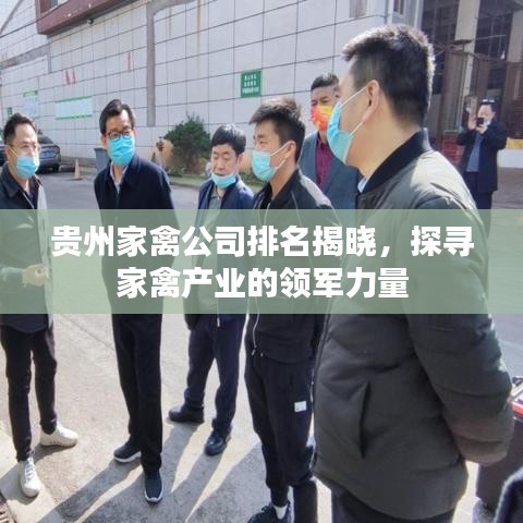 贵州家禽公司排名揭晓，探寻家禽产业的领军力量