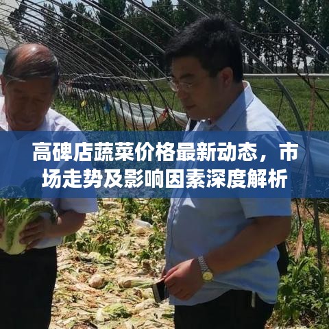 高碑店蔬菜价格最新动态，市场走势及影响因素深度解析
