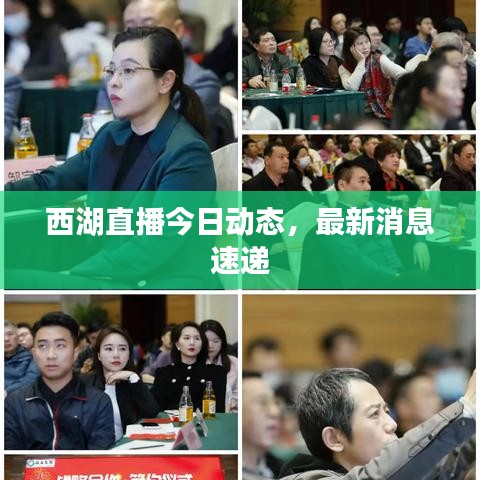 西湖直播今日动态，最新消息速递
