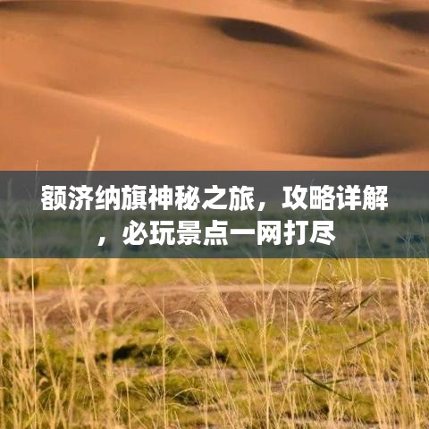 额济纳旗神秘之旅，攻略详解，必玩景点一网打尽