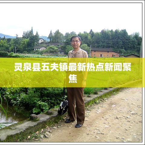 灵泉县五夫镇最新热点新闻聚焦