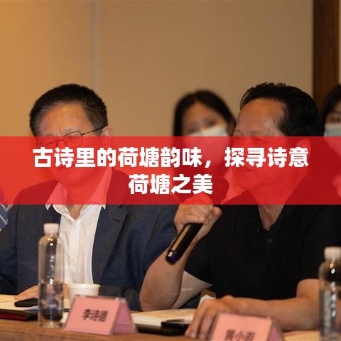 古诗里的荷塘韵味，探寻诗意荷塘之美