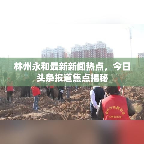 林州永和最新新闻热点，今日头条报道焦点揭秘
