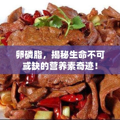 卵磷脂，揭秘生命不可或缺的营养素奇迹！