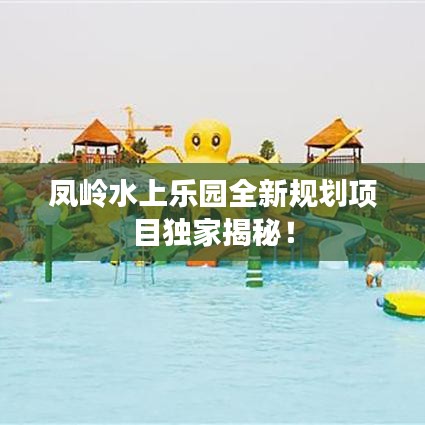 凤岭水上乐园全新规划项目独家揭秘！