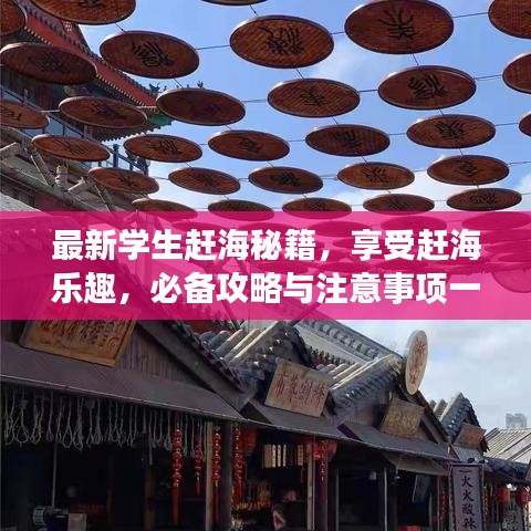 最新学生赶海秘籍，享受赶海乐趣，必备攻略与注意事项一网打尽！