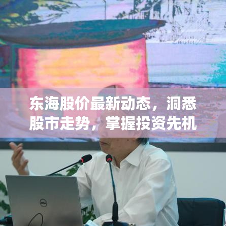 东海股价最新动态，洞悉股市走势，掌握投资先机