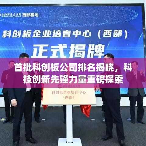 首批科创板公司排名揭晓，科技创新先锋力量重磅探索