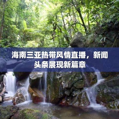 海南三亚热带风情直播，新闻头条展现新篇章