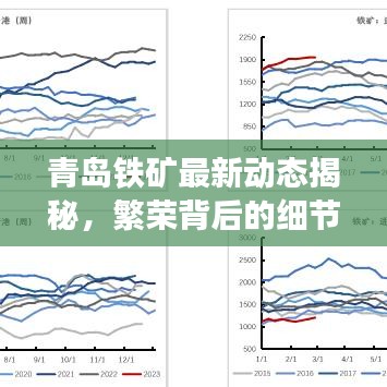 青岛铁矿最新动态揭秘，繁荣背后的细节全知晓
