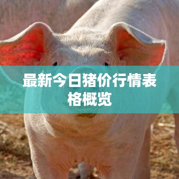 最新今日猪价行情表格概览