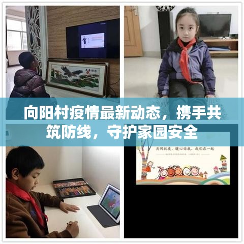 向阳村疫情最新动态，携手共筑防线，守护家园安全