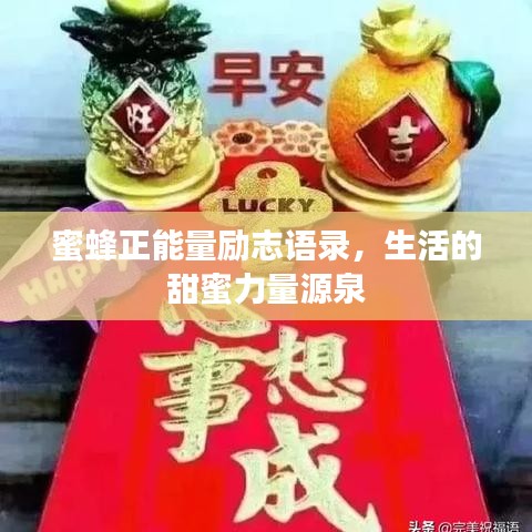 蜜蜂正能量励志语录，生活的甜蜜力量源泉
