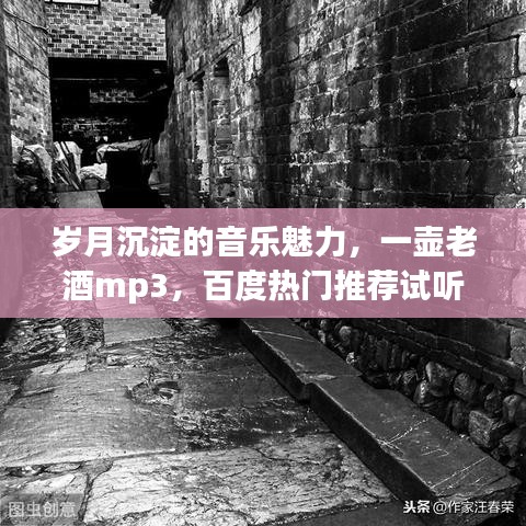 岁月沉淀的音乐魅力，一壶老酒mp3，百度热门推荐试听