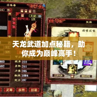 天龙武道加点秘籍，助你成为巅峰高手！