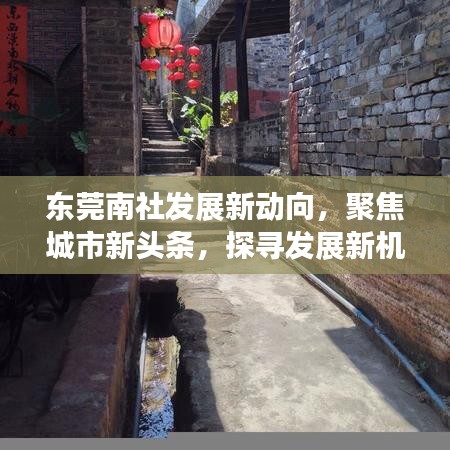 东莞南社发展新动向，聚焦城市新头条，探寻发展新机遇