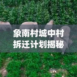 象南村城中村拆迁计划揭秘，最新动态、细节解读与居民关注焦点