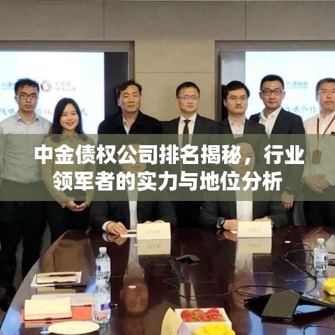 中金债权公司排名揭秘，行业领军者的实力与地位分析